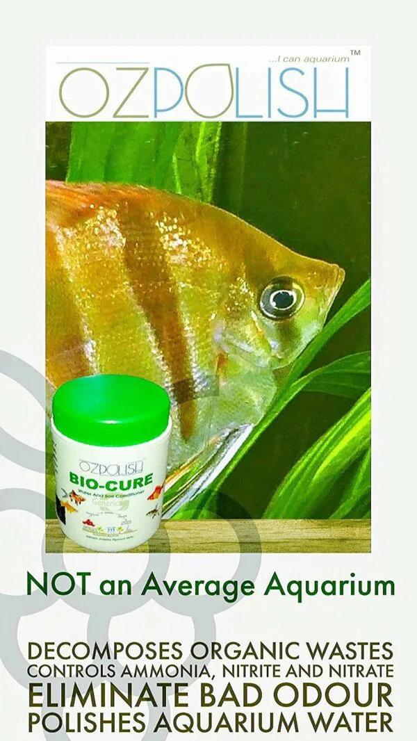 OZPOLISH Bio-Cure by Aquatic Habitat