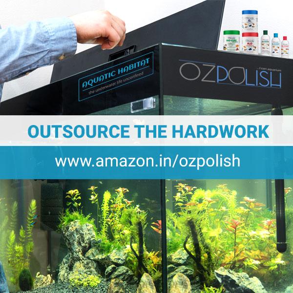 Outsource the hardwork - OZPOLISH