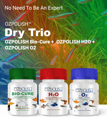 OZPOLISH Dry Trio