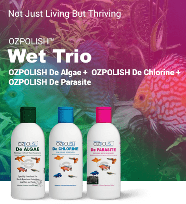 OZPOLISH Wet Trio