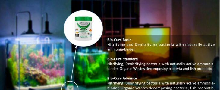 OZPOLISH Bio-Cure Standards