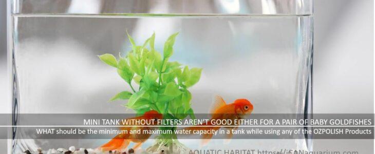goldfish aquarium without filter