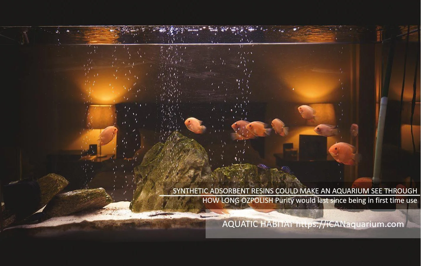 HOW LONG OZPOLISH Purity would last since being in first time use 1 super clean aquarium
