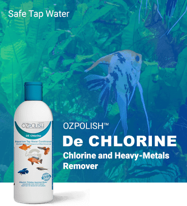 OZPOLISH De Chlorine