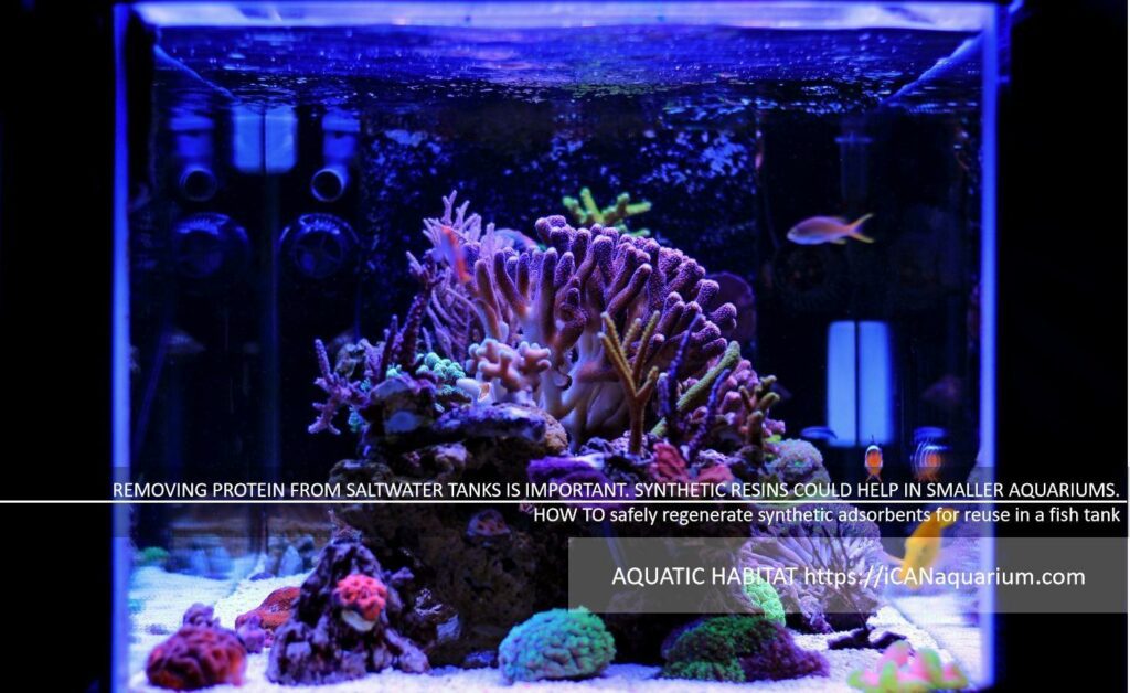 remove protein from the saltwater aquarium