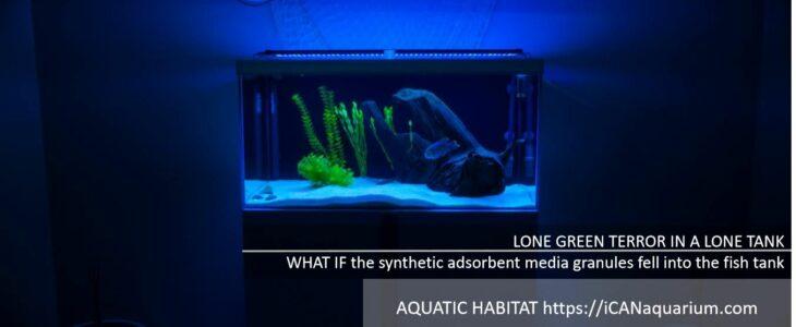 ultimate aquarium filtration