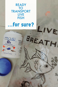 Transport Live Fish Easily and Safely