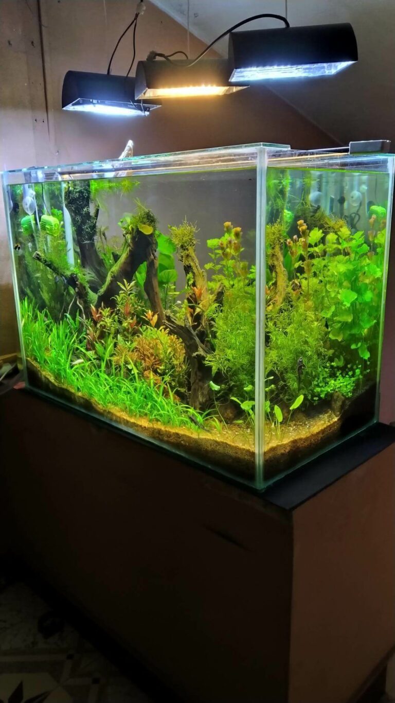 *For the underwater effectiveness in aquarium fishes