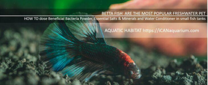 good bacteria for aquarium