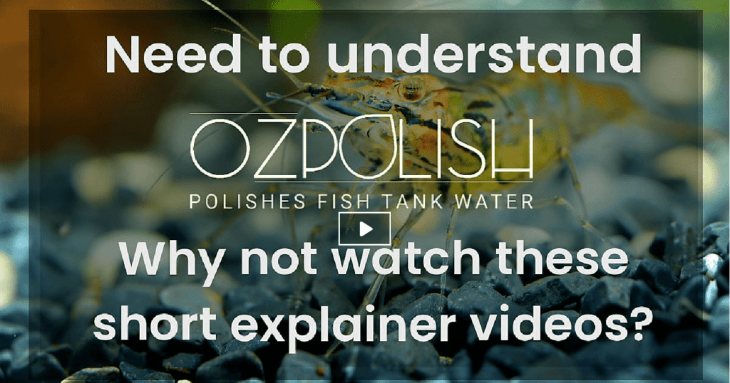 Watch "Why and How OZPOLISH" by clicking on the above image.
