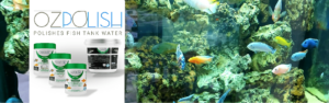 WHY a lot of tiny bubbles from sand bed could be seen in a fish tank 2 OZPOLISH Bio-Cure