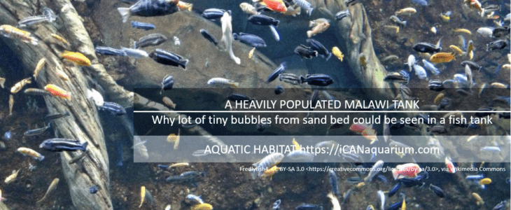 Why a lot of tiny bubbles from sand bed could be seen in a fish tank