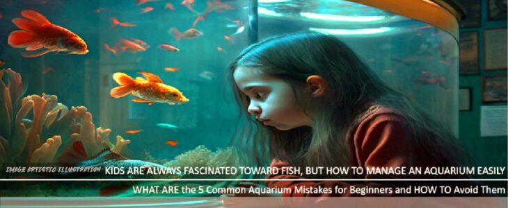 what-are-the-5-common-aquarium-mistakes-for-beginners-and-how-to-avoid