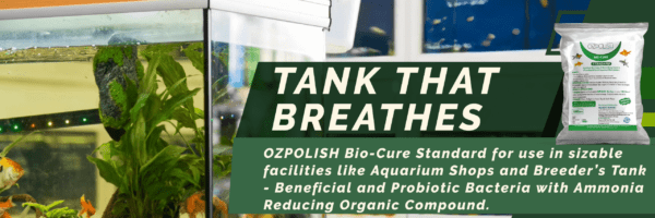 Beneficial Bacteria Powder for Aquariums