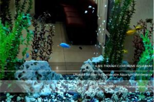Self Sustainable Aquarium