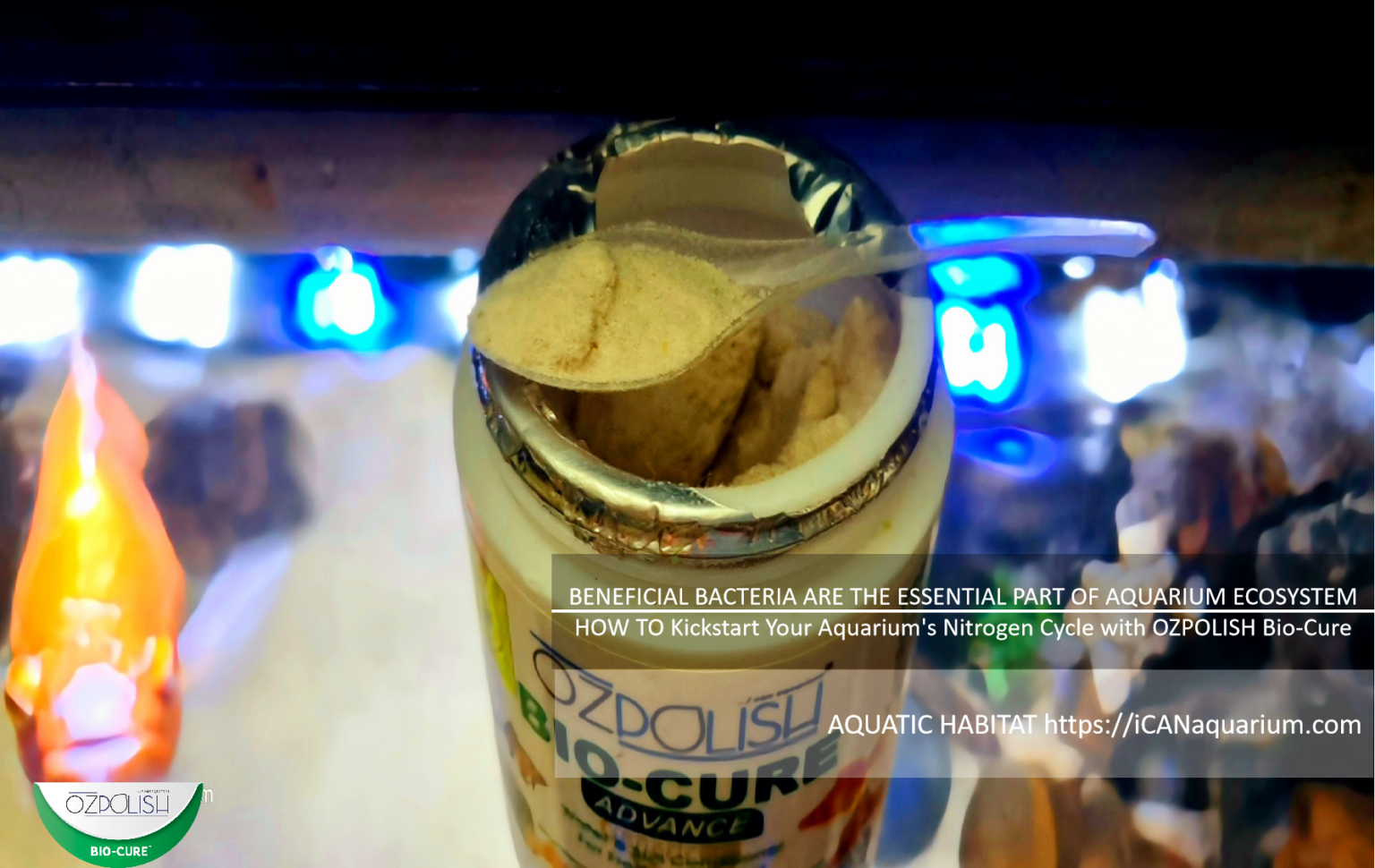 HOW TO Kickstart Nitrogen Cycle With The Aquarium Starter Bacteria