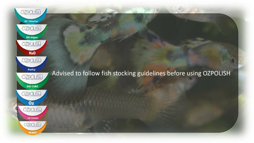 Fish Stocking Density
