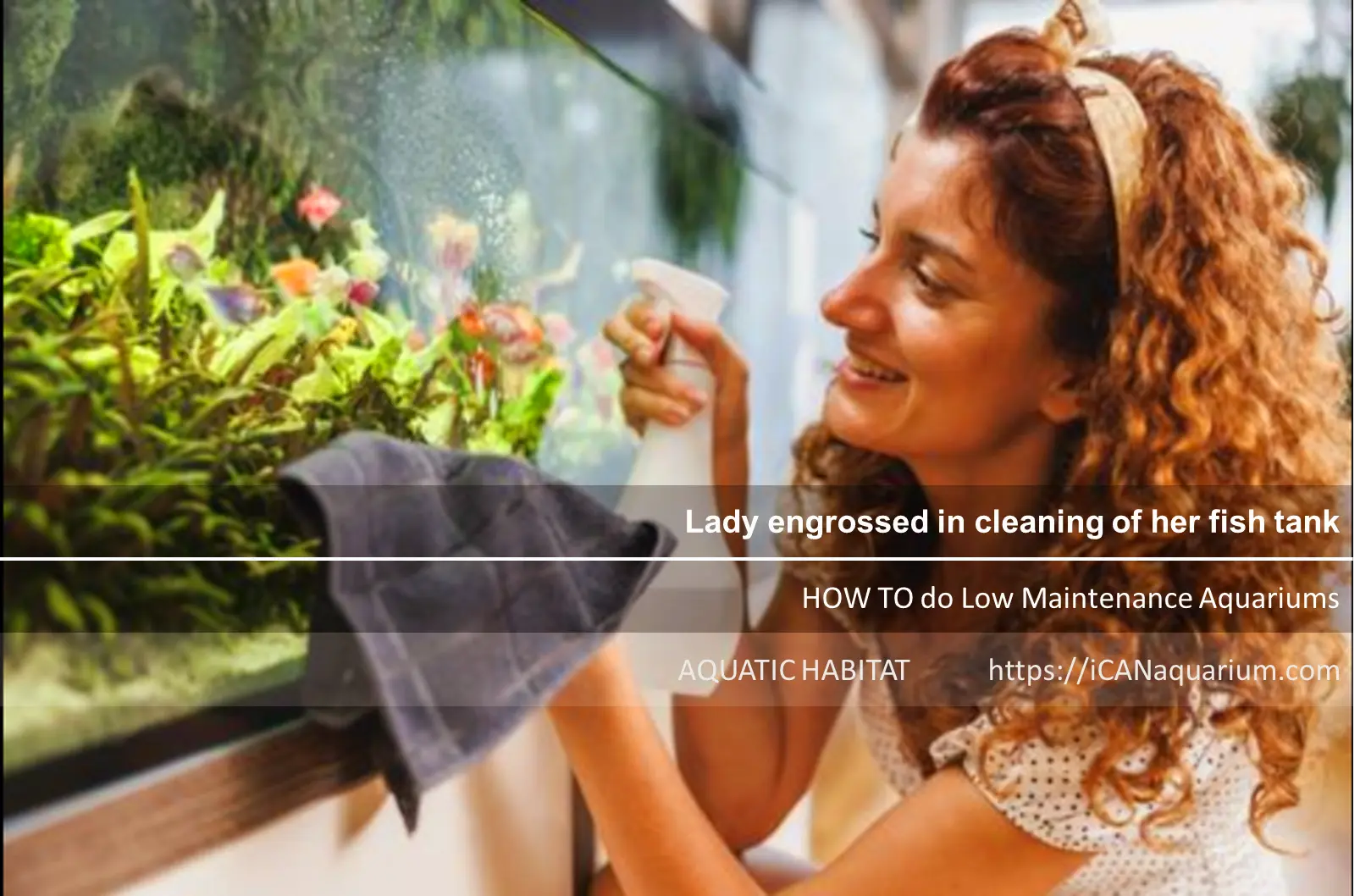 Low-Maintenance Aquariums