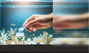Fish Aquarium Ideas